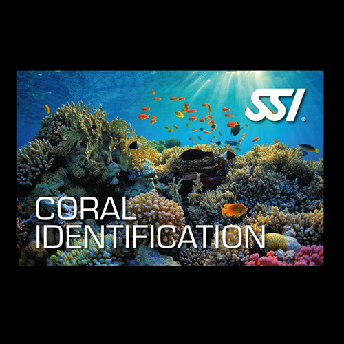 Coral Identification Digital Kit